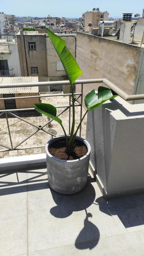 My Home In Greece เอเธนส์ ภายนอก รูปภาพ