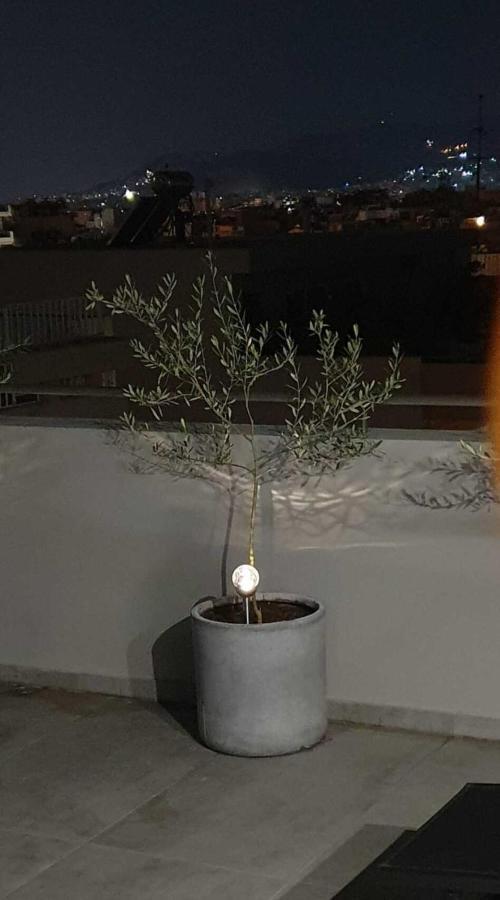 My Home In Greece เอเธนส์ ภายนอก รูปภาพ